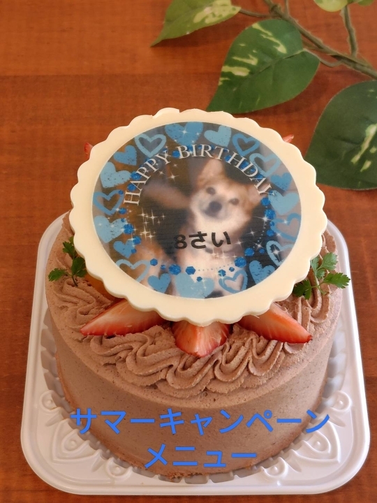ひよこウェディングケーキ☆ ブライダル2023➕ぴよりんコラボ〛 🐥2023年ブライダルメニュー