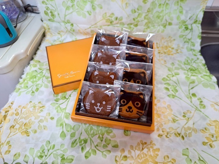 ねこちゃんギフト